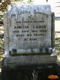 image of grave number 698394